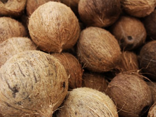 coconut coir in mattress production