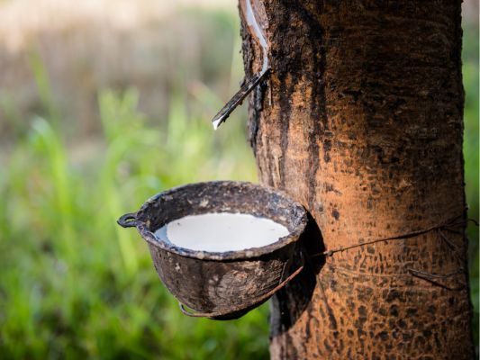natural latex is vegan